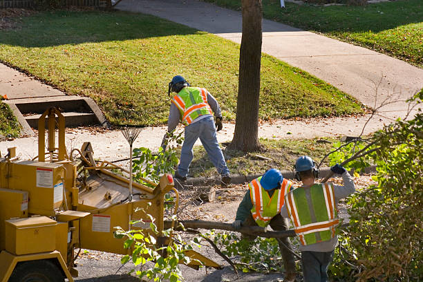 Emergency Storm Tree Removal in Quail Ridge, FL